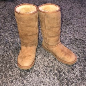 Greatly Loved Tall Chestnut Uggs